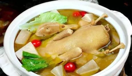 秋季加拿大pc在线网站吃老鸭肉，5种做法营养高，但经常腹痛的人别多吃